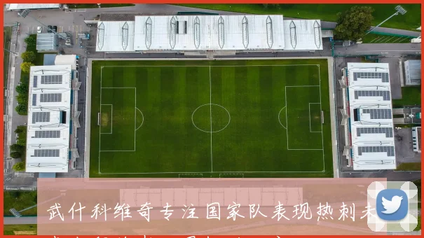 武什科维奇专注国家队表现热刺未来去留将在世界杯后决定